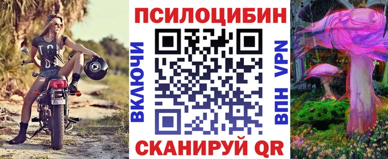 где можно купить   Гагарин  Галлюциногенные грибы Cubensis 