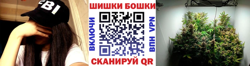 Конопля сатива  Гагарин 